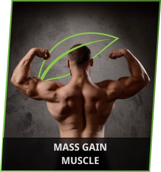 muscle-gain-mass