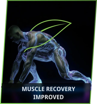 muscle-recovery